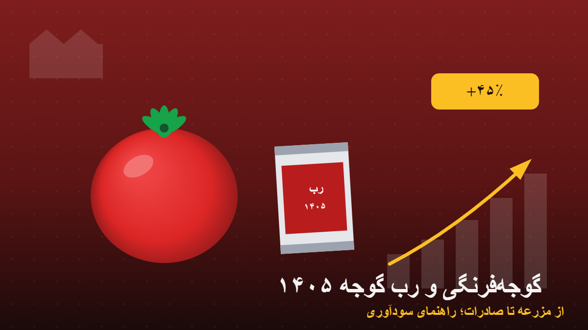 گوجه‌فرنگی و رب گوجه در ۱۴۰۵؛ از جهش ۴۵ درصدی نرخ خرید تا فرصت صادرات به عراق