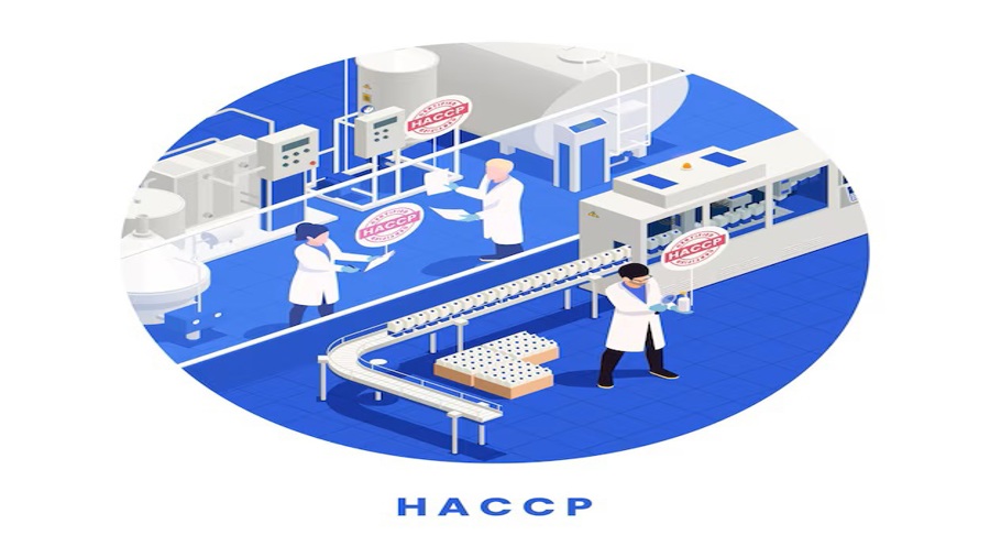 راهنمای جامع سیستم HACCP برای کنترل خطرات و تضمین سلامت