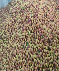 میوه هلو