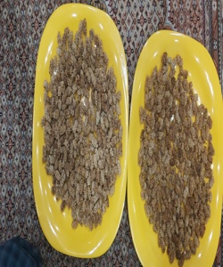 توت خشک